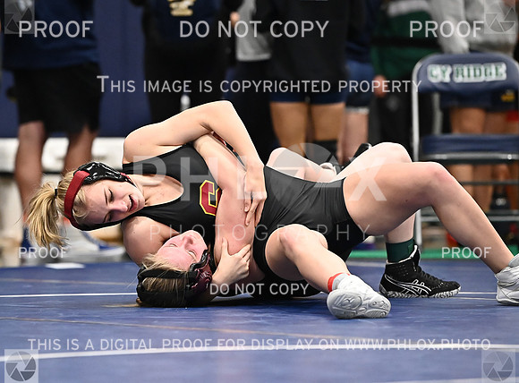 DLS_4579