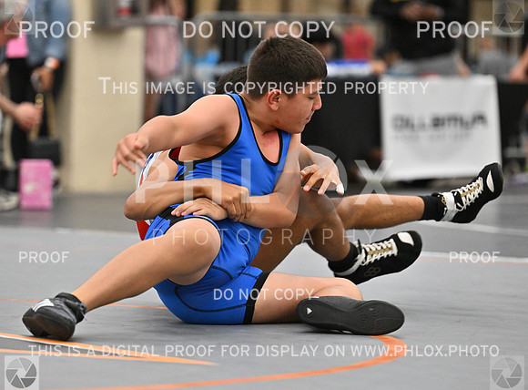 DLS_7584-2