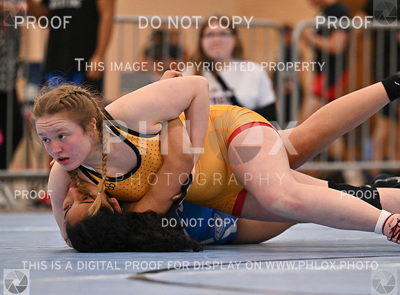 DLS_5677