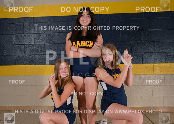 DLS_1196