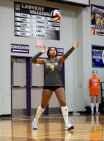 DLS_0047
