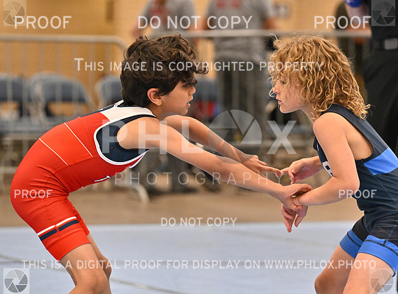 DLS_7559