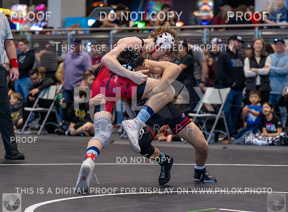 DLS_2996