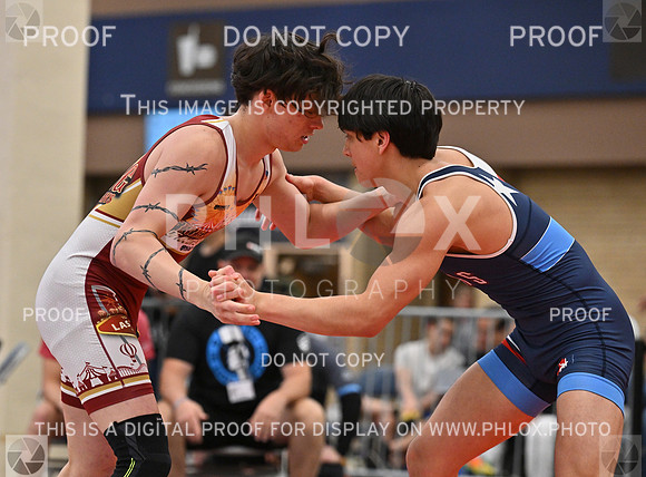 DLS_6139