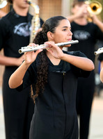 PSZ_184036