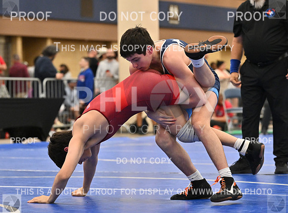 DLS_8491