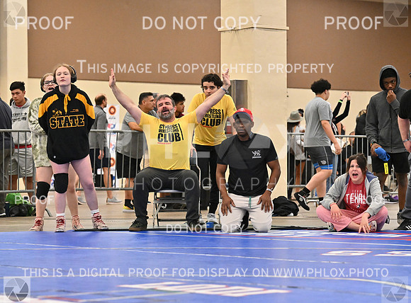 DLS_8228