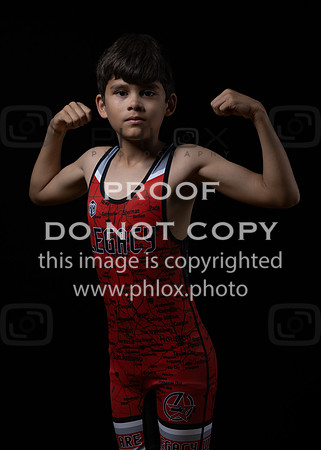 DLS_0062