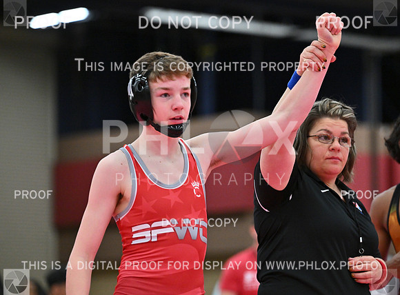 DLS_6193