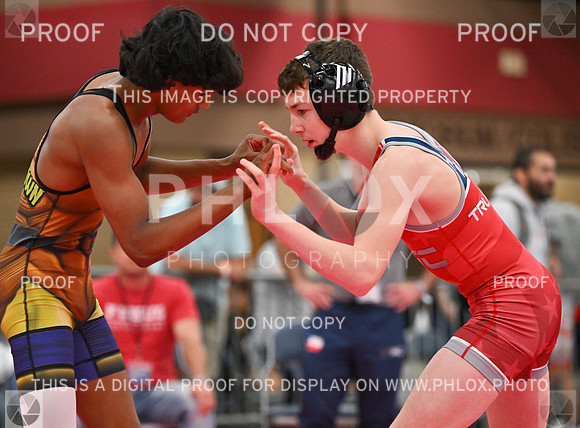 DLS_6170