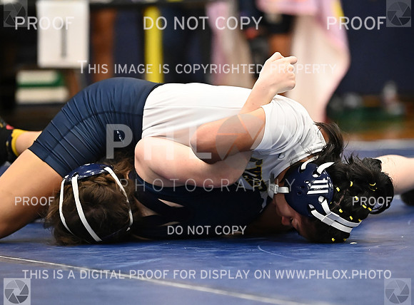DLS_5786
