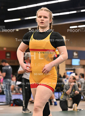 DLS_9286