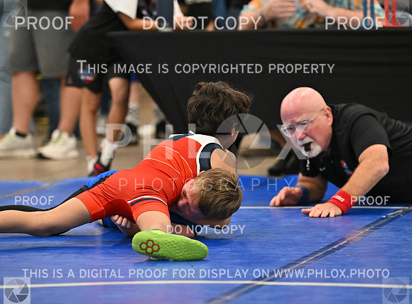 DLS_7837-2