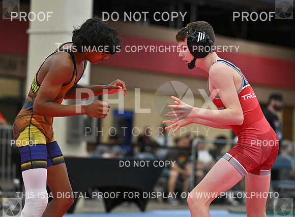 DLS_6180