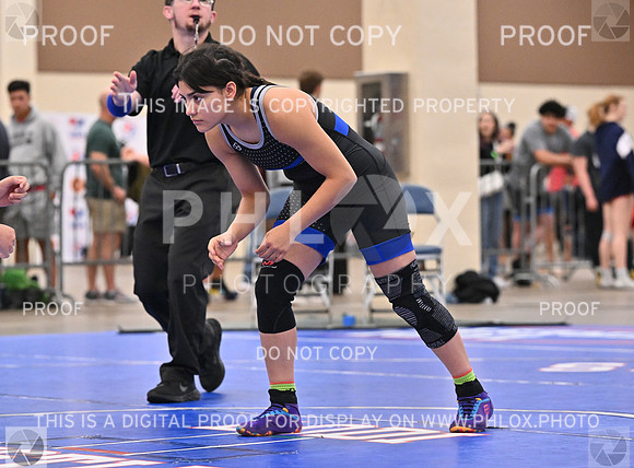 DLS_8168