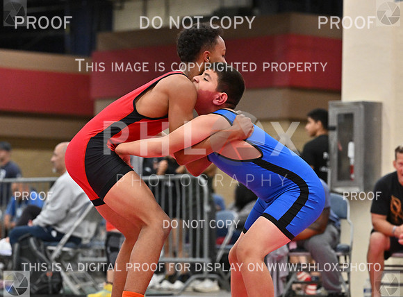 DLS_7384