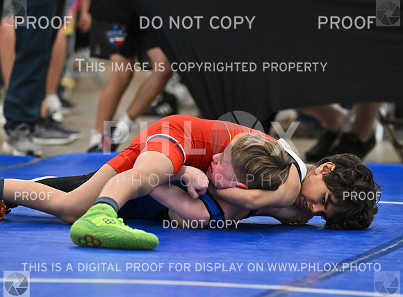 DLS_7841