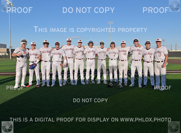 DLS_4291