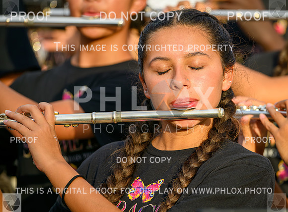 PSZ_190428