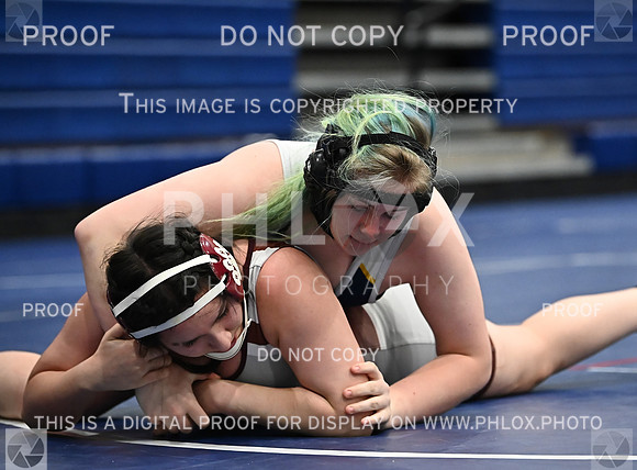 DLS_5096
