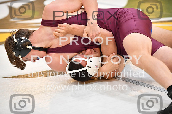 RAY_0461