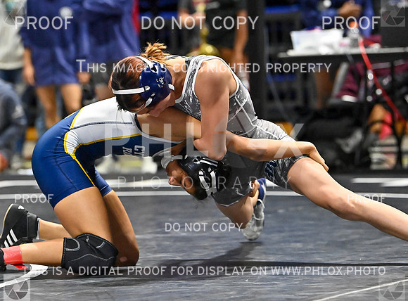 DLS_7152