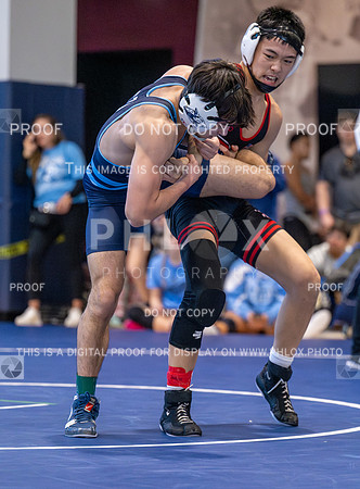 DLS_4406
