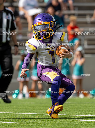 12pm Freshman -Vikings (V) vs Dolphins (H)-90