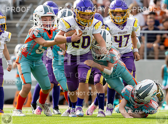 12pm Freshman -Vikings (V) vs Dolphins (H)-154