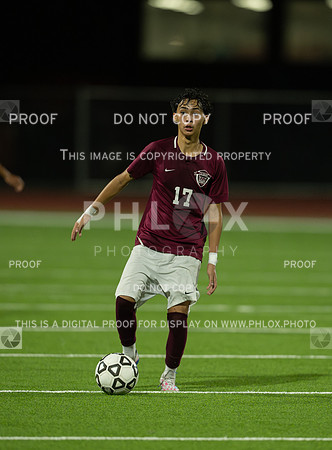 DLS_0031-Enhanced-NR