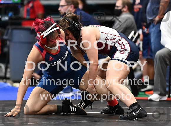 DLS_2703