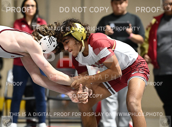 DLS_6884