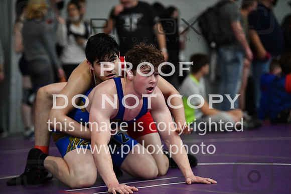 FDS_8202