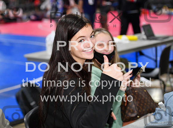 FDS_5239