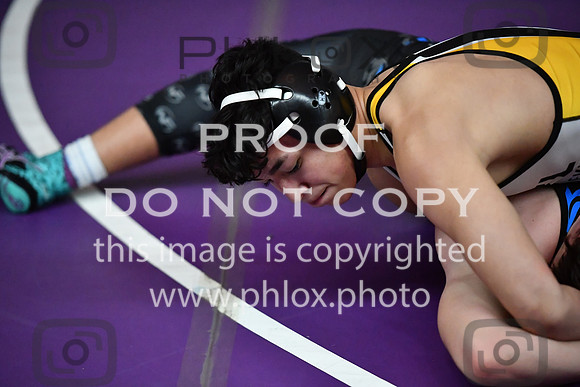 FDS_7875