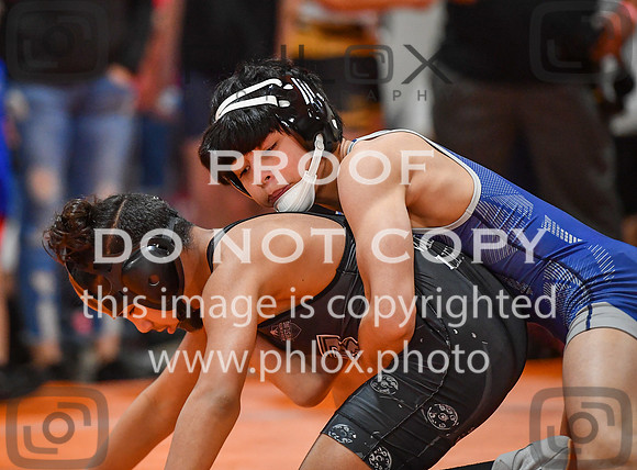 FDS_4387