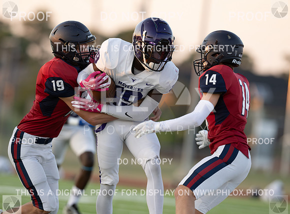 DLS_0677