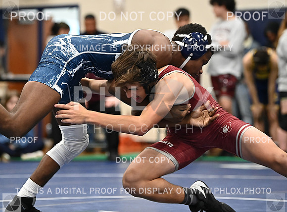 DLS_4267