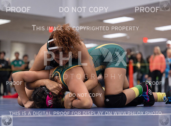 DLS_1493-Enhanced-NR
