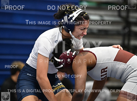 DLS_4972