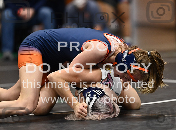 DLS_2879