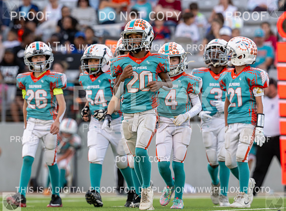 4pm Jv-Bears (V) vs Dolphins (H)-70