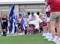 DLS_8710