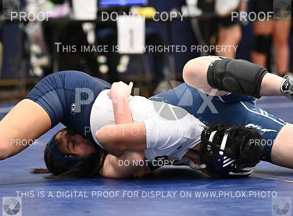 DLS_4570