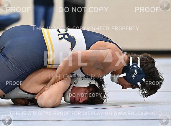 DLS_4387