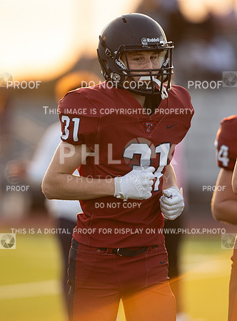 DLS_3818