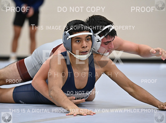 DLS_4167