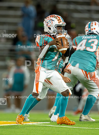 4pm Jv-Bears (V) vs Dolphins (H)-170