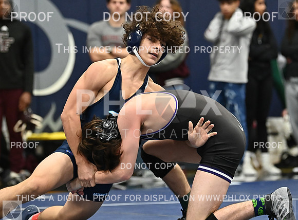 DLS_4201
