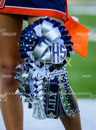 PSZ_174722